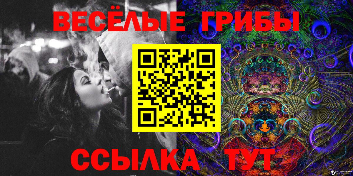 Кисловодск  Псилоцибиновые грибы Magic Shrooms  Вход с VPN 